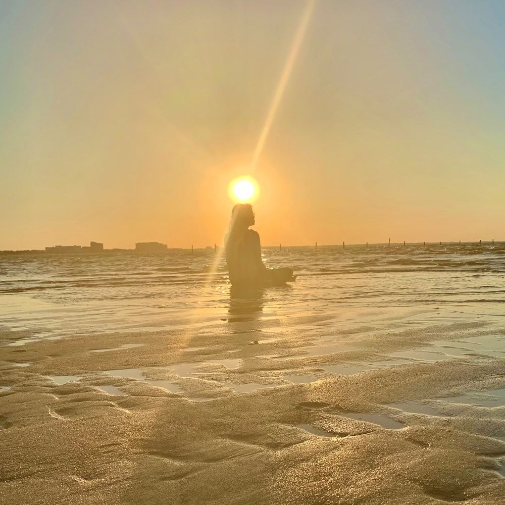 Meet your Posher, Hava